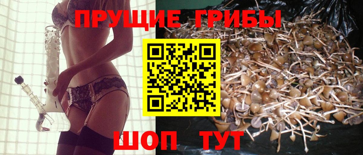 Хасавюрт  Псилоцибиновые грибы мухоморы  Вход с VPN  Галлюциногенные грибы Psilocybine cubensis 